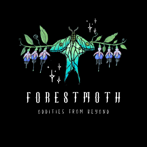 Forest Moth Co 