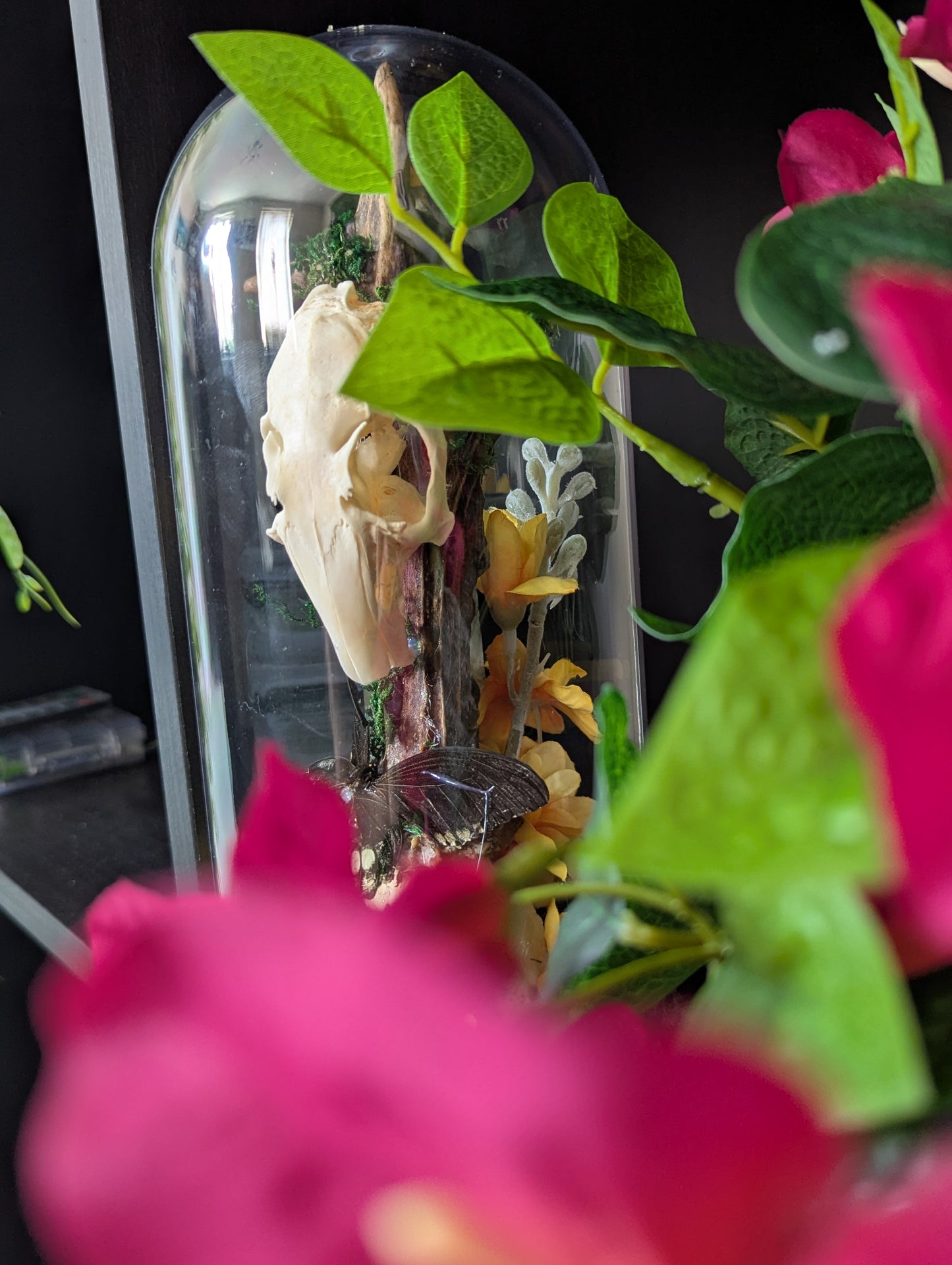 The Rabbit & The Butterfly - Taxidermy
