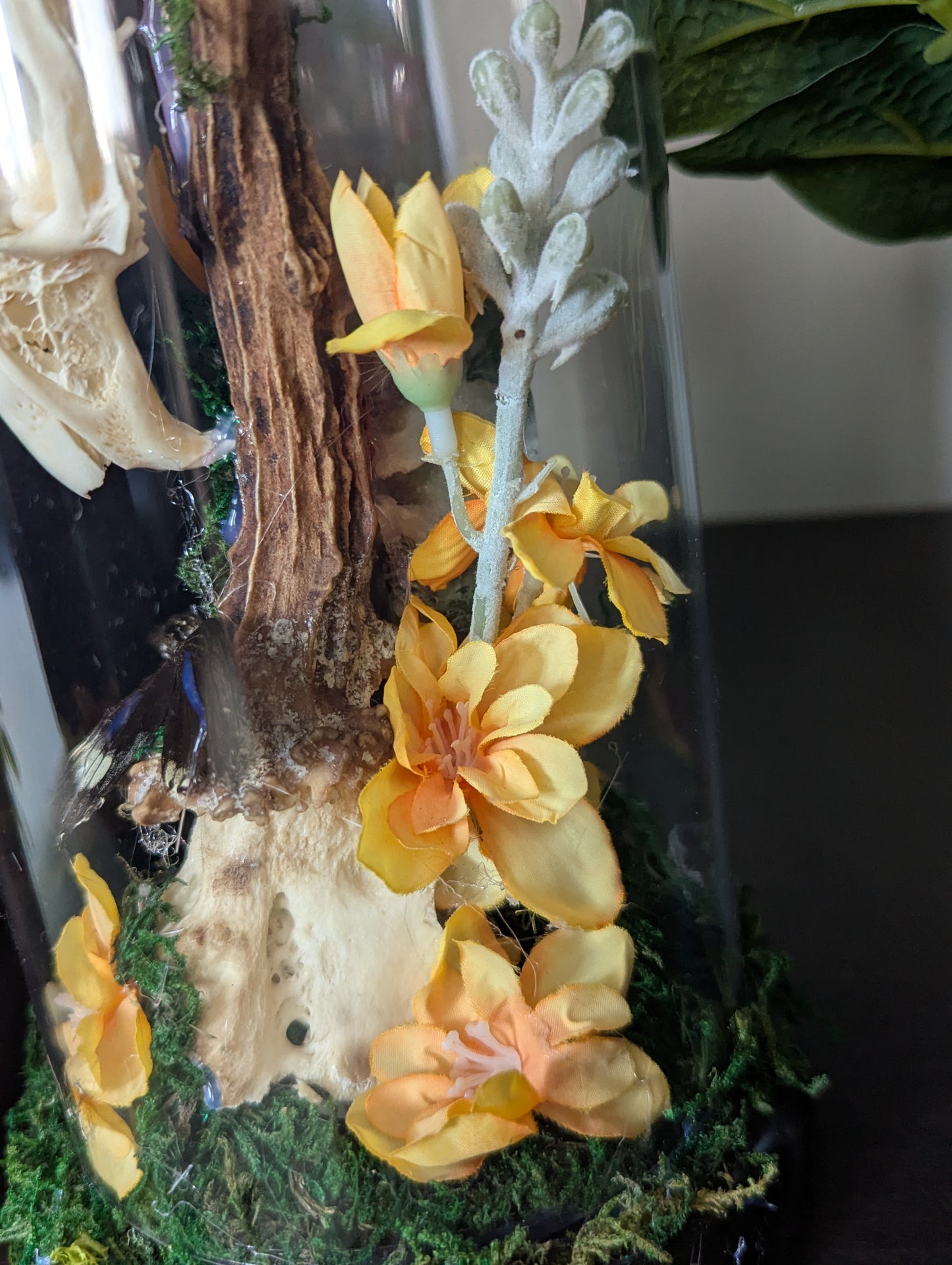 The Rabbit & The Butterfly - Taxidermy