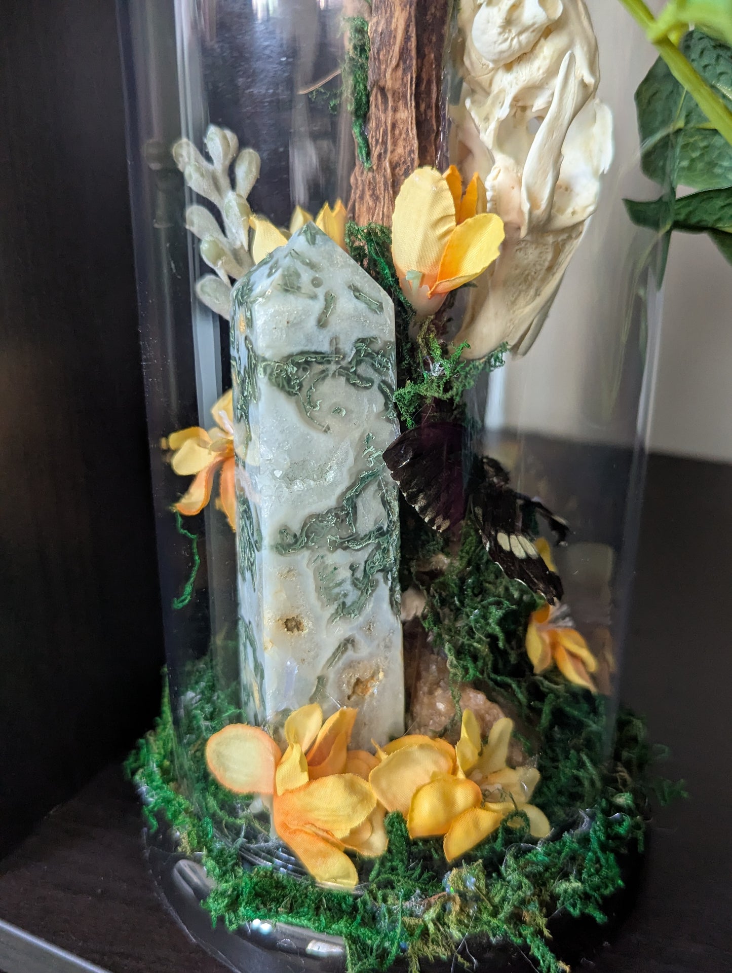 The Rabbit & The Butterfly - Taxidermy