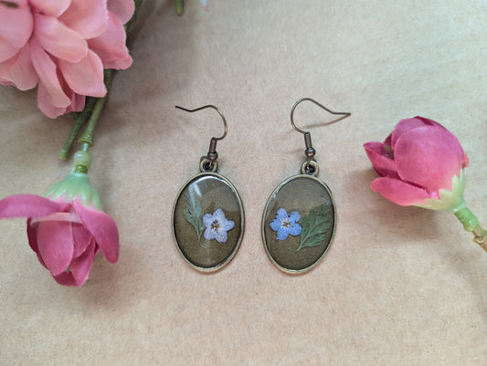 Forget Me Not! Dried Flower Earrings