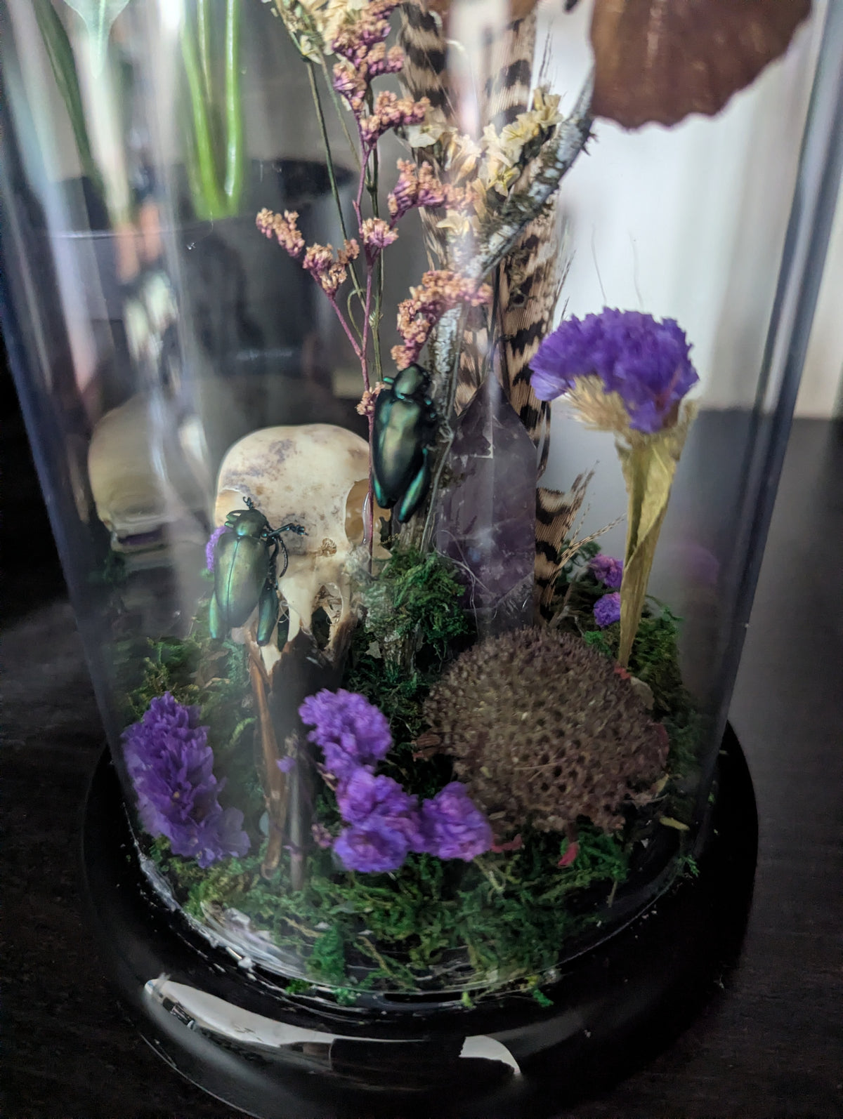 The Magic Of The Woods - Taxidermy Dome