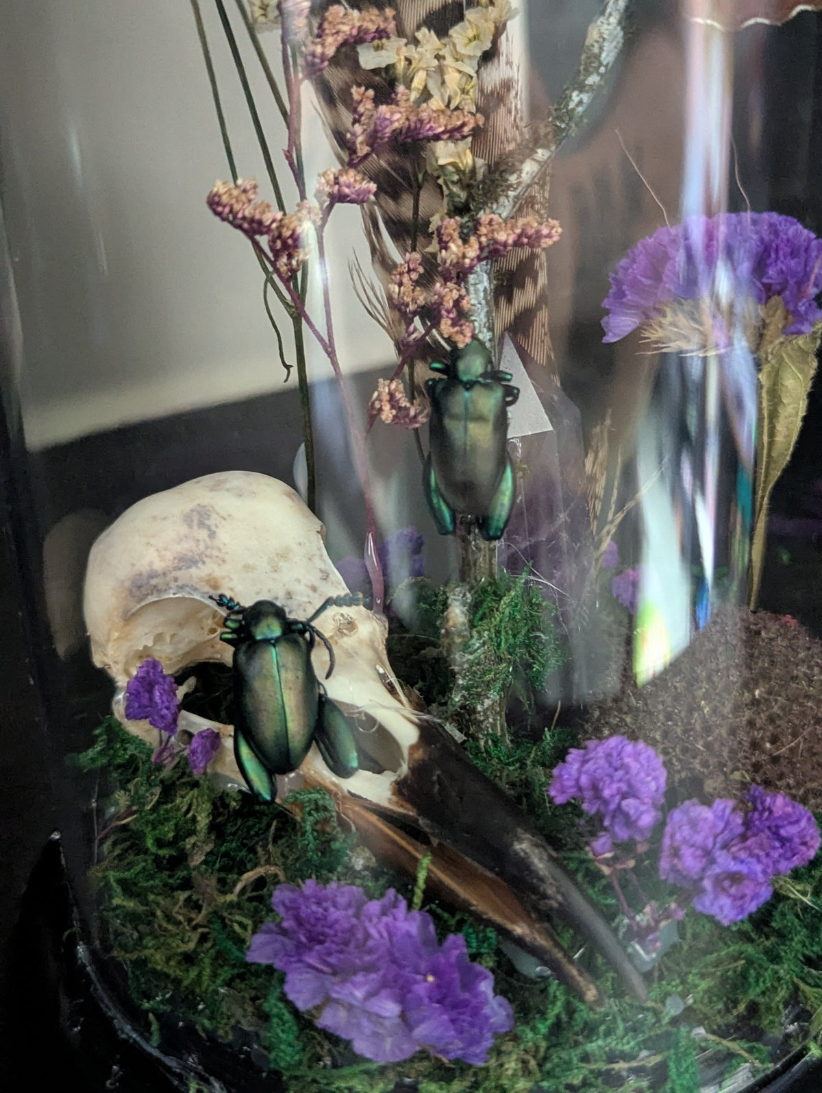 The Magic Of The Woods - Taxidermy Dome
