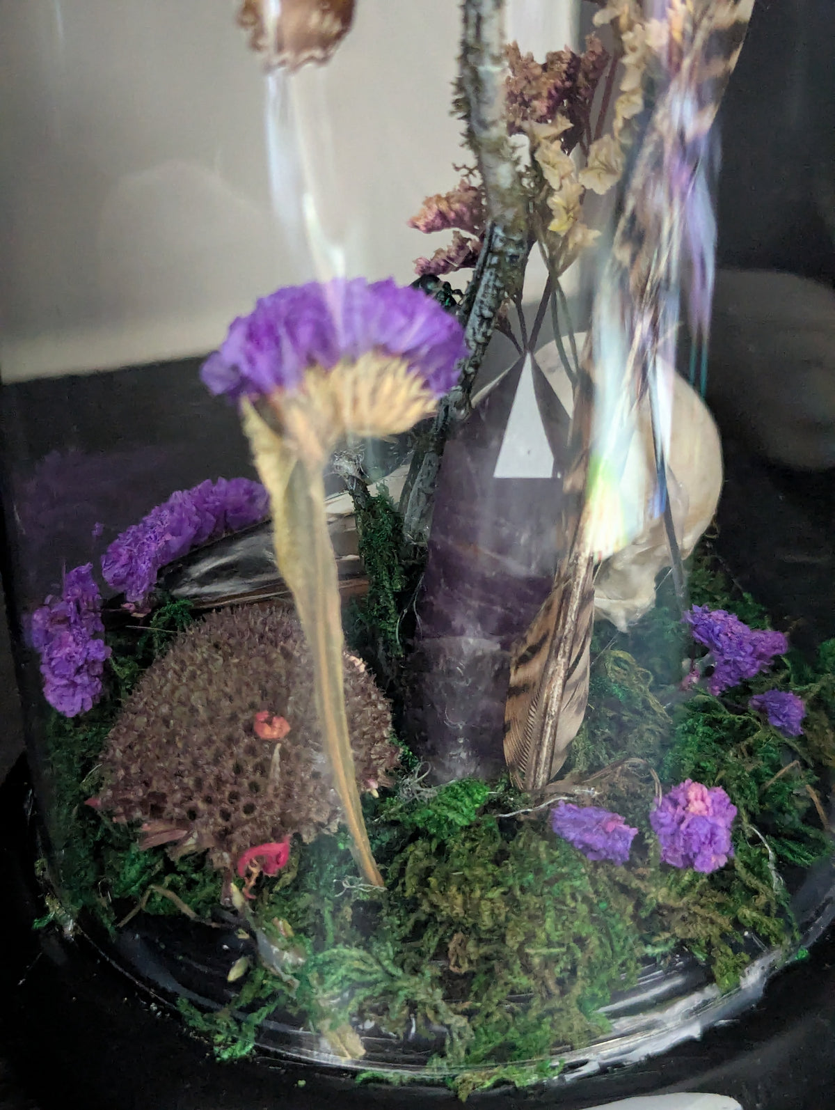 The Magic Of The Woods - Taxidermy Dome
