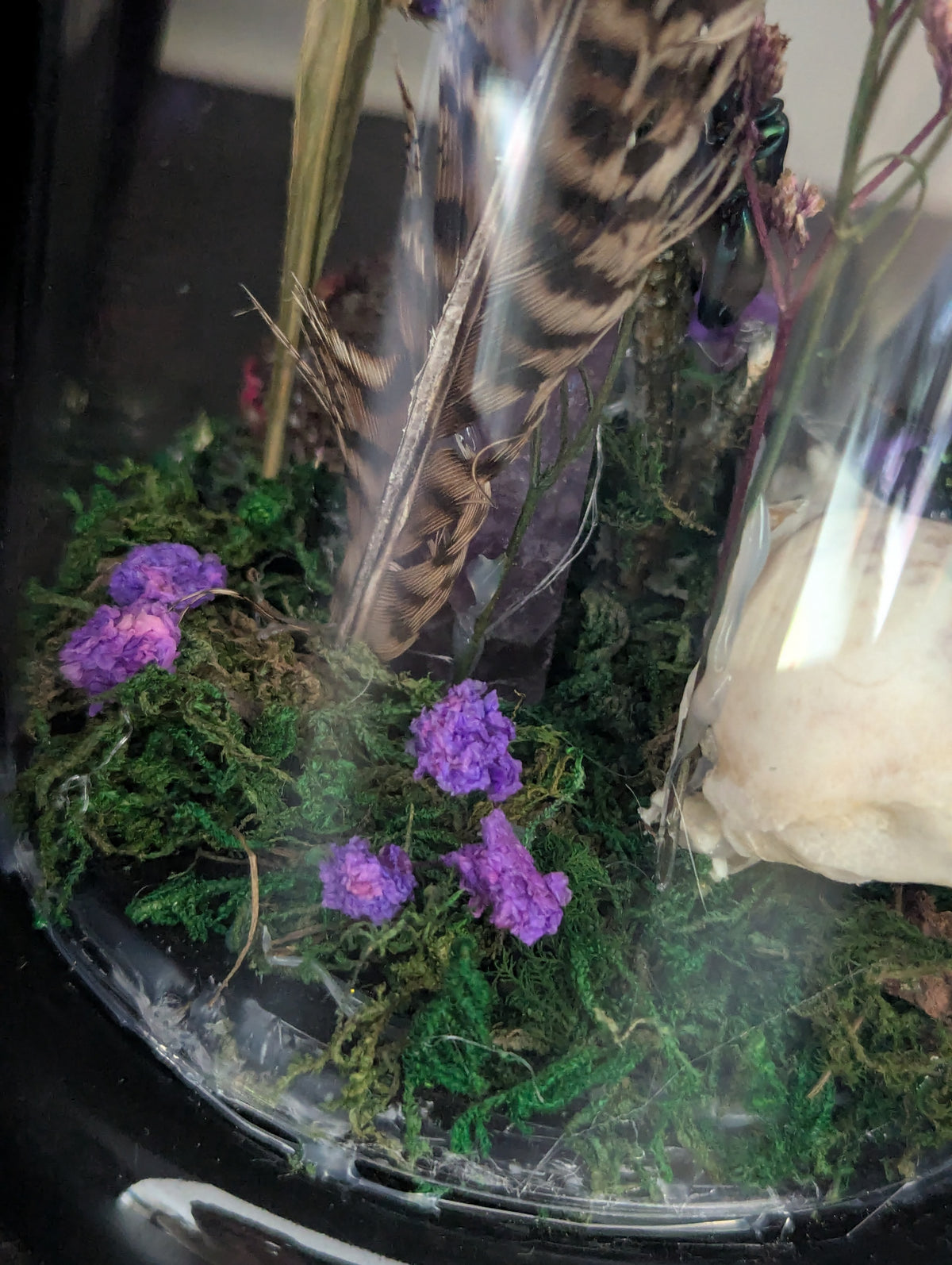 The Magic Of The Woods - Taxidermy Dome