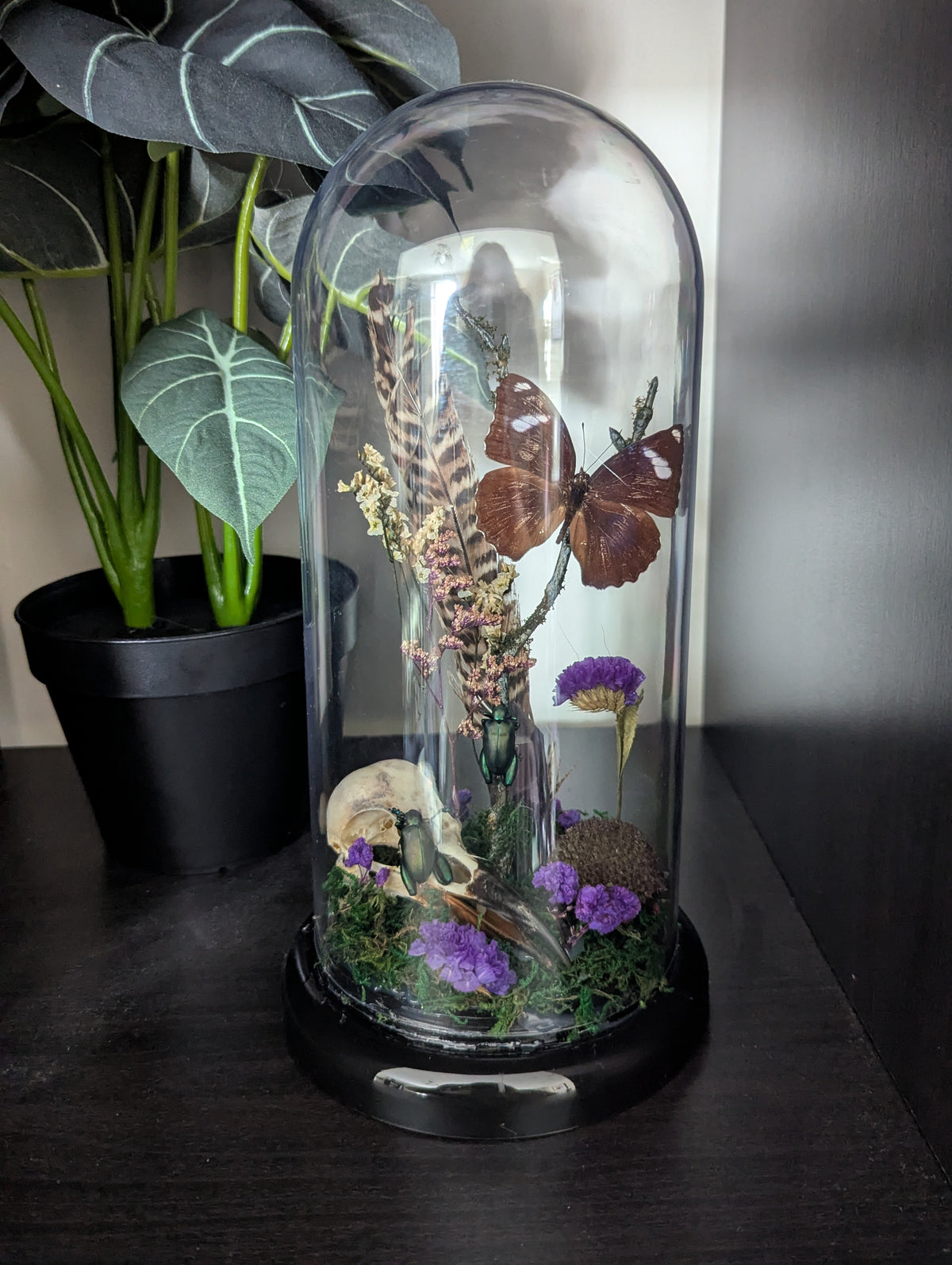 The Magic Of The Woods - Taxidermy Dome