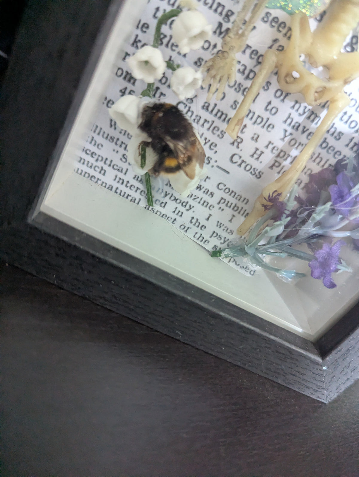 Scavenged Faerie In A Frame