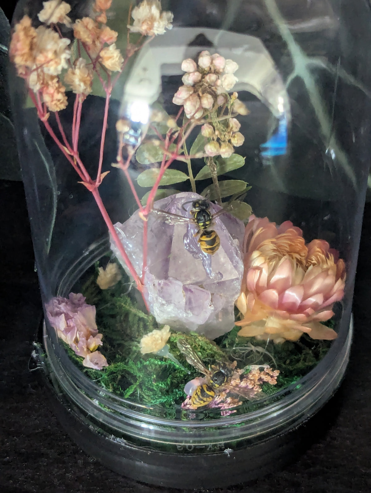 Home Of The Wasps - Mini Taxidermy Dome