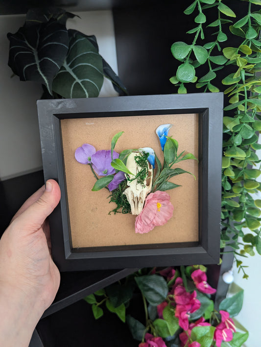 Blossoming Bones - Black Framed Rabbit Skull