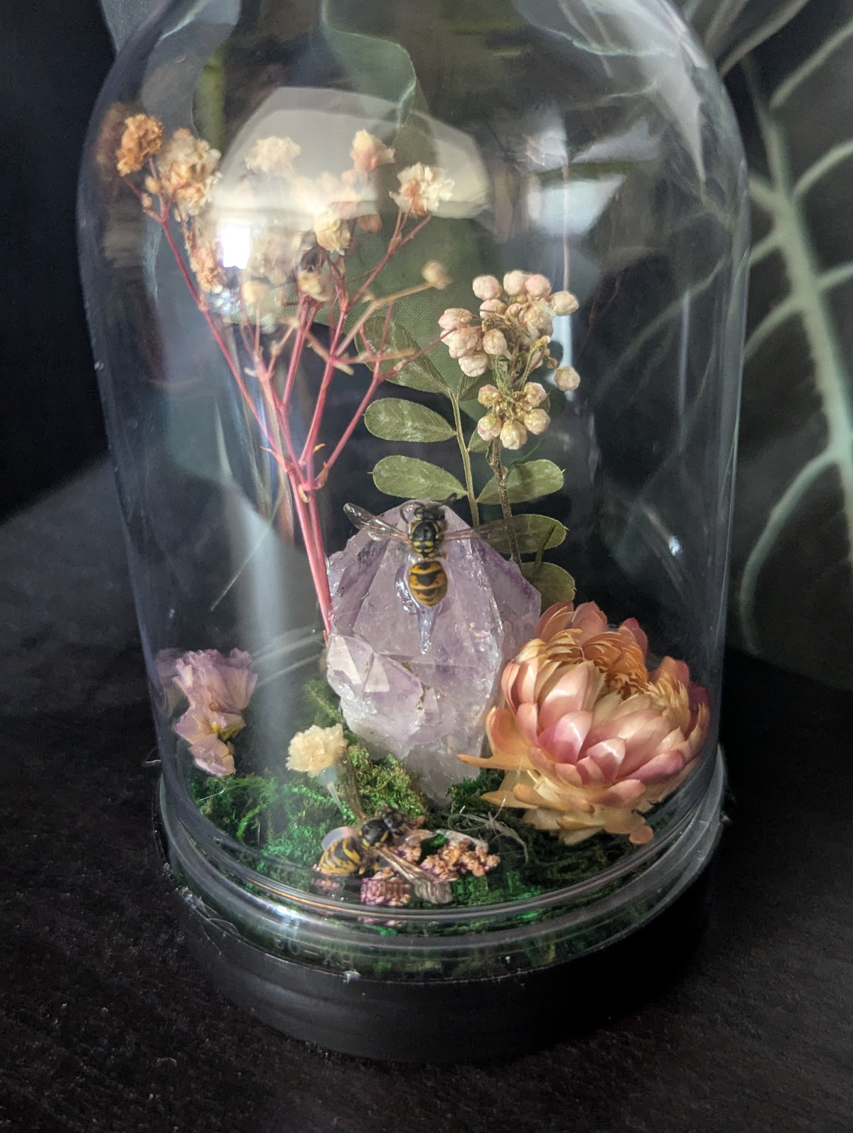 Home Of The Wasps - Mini Taxidermy Dome