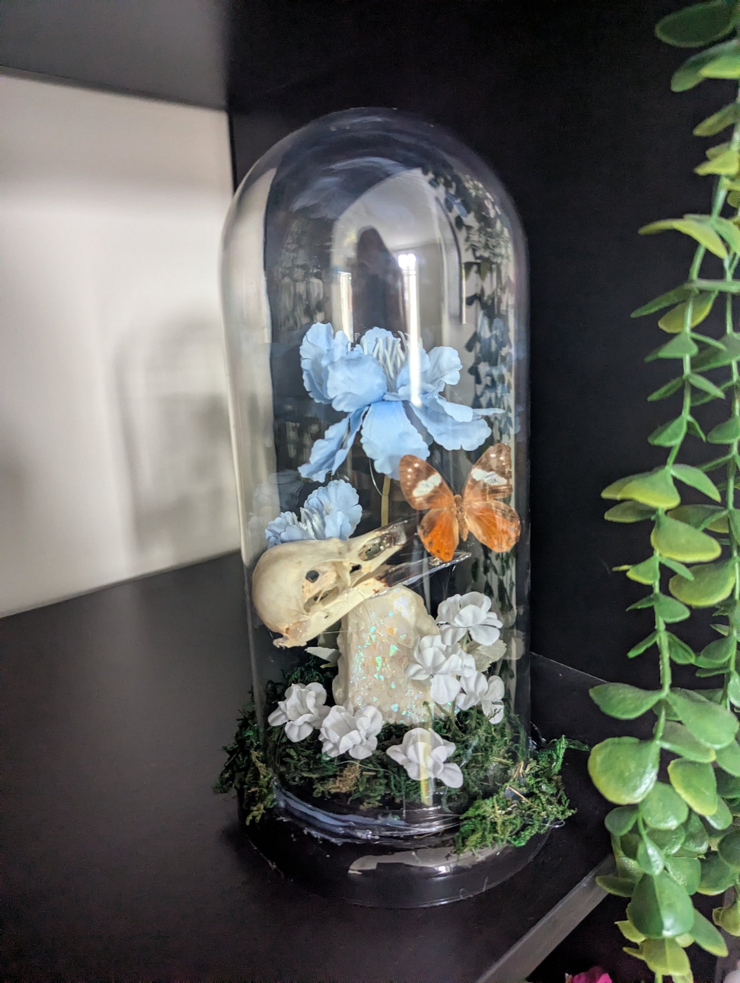 The Bird & The Butterflies