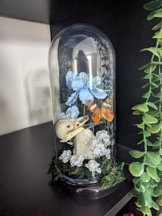 The Bird & The Butterflies