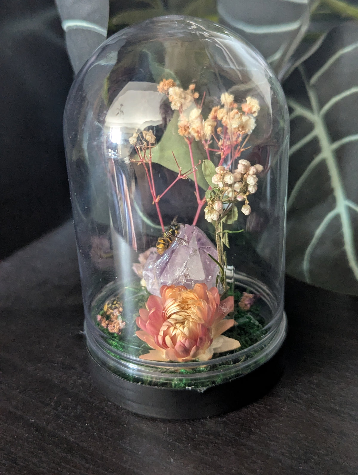 Home Of The Wasps - Mini Taxidermy Dome
