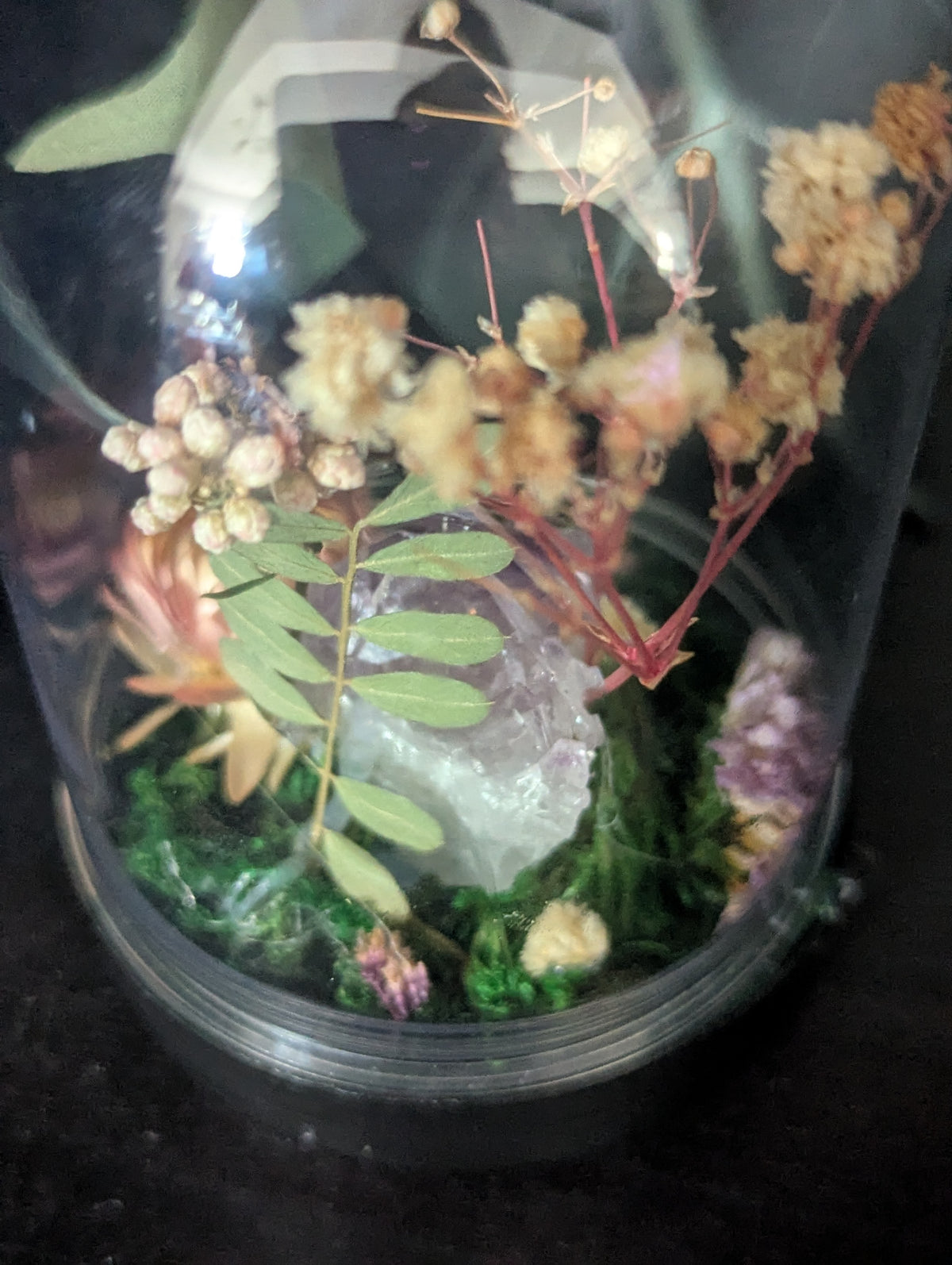 Home Of The Wasps - Mini Taxidermy Dome
