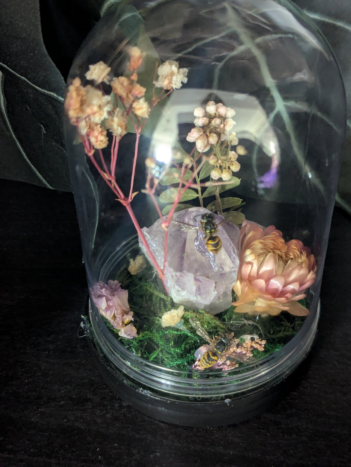 Home Of The Wasps - Mini Taxidermy Dome
